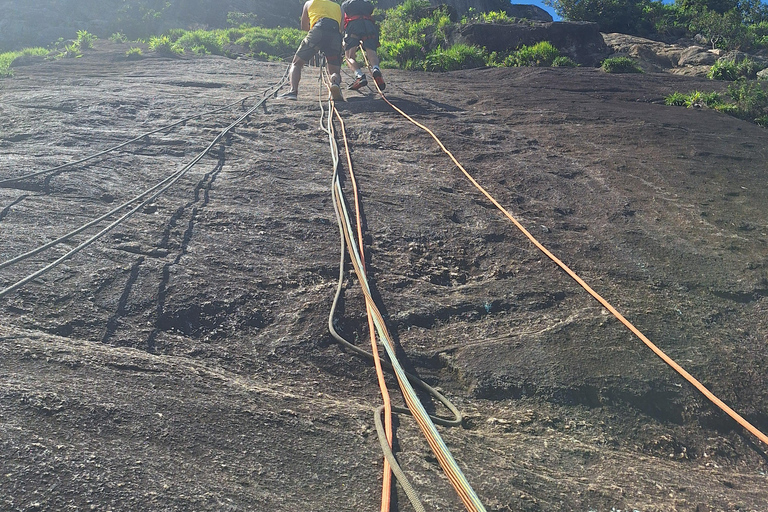 Rio de Janeiro: Pedra da Gávea - guided hike with best views