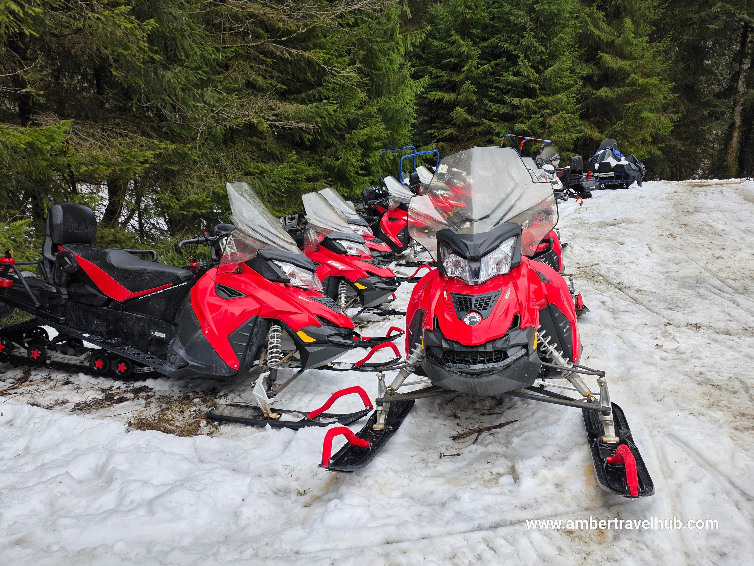 Ab Bukarest: Privates Schneemobilabenteuer & Schlössertour