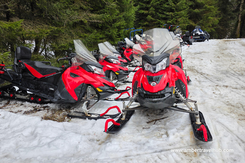 From Bucharest: Private Snowmobile Adventure & Castles Tour