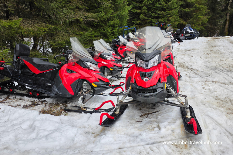 From Bucharest: Private Snowmobile Adventure & Castles Tour