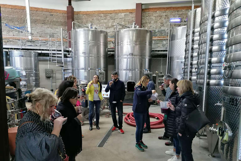 From Sofia: Plovdiv and Thracian Wine Tour with Lunch