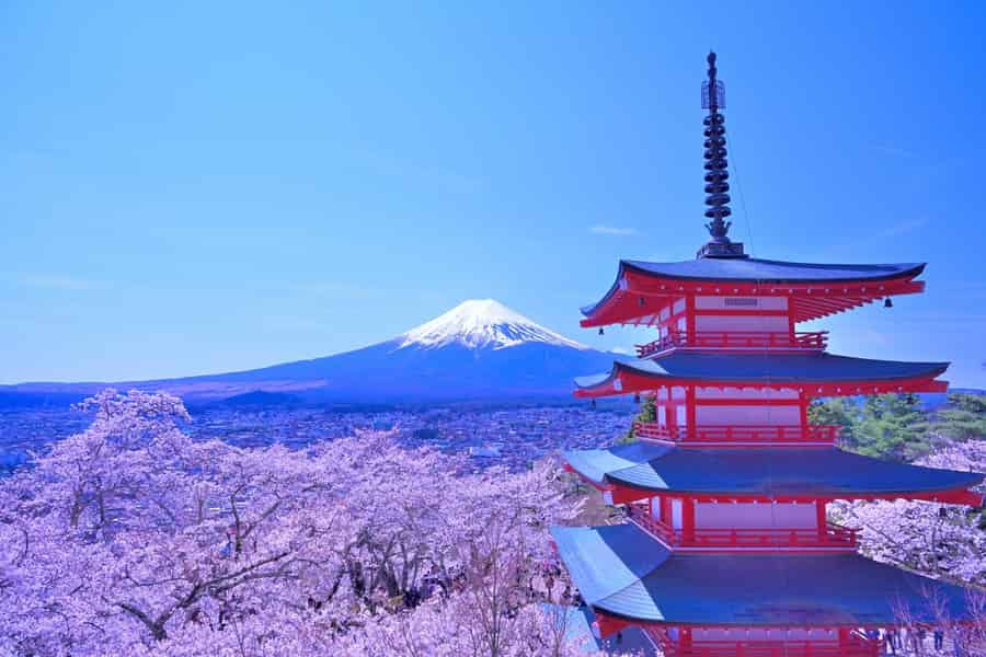 Fuji, Arakurayama, Hikawa-Uhrenladen, Oishi-Park, Kawaguchi. Foto: GetYourGuide Fuji, Arakurayama, Hikawa-Uhrenladen, Oishi-Park, Kawaguchi. Foto: GetYourGuide