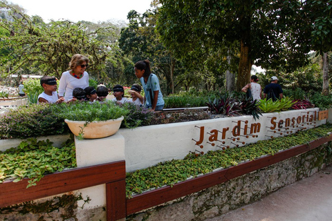 Merveilles tropicales : Découvrez le Jardim Botânico et la Tijuca de Rio