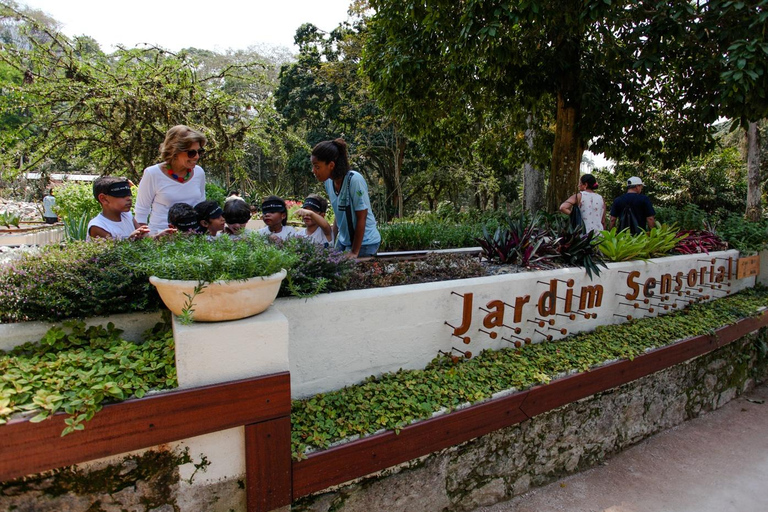 Tropical Wonders: Discover Rio's Jardim Botânico & Tijuca