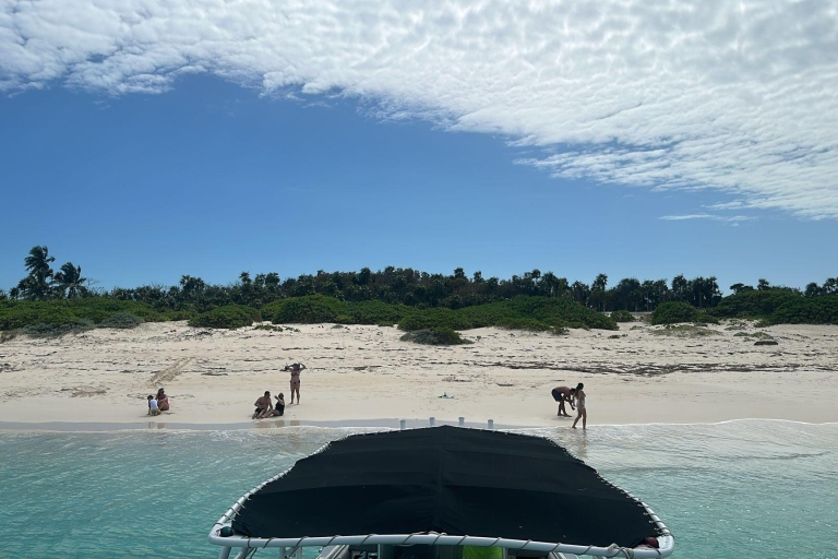 Nassau: excursion privée en hors-bord, plongée avec tuba et nage avec des cochonsVisite de groupe