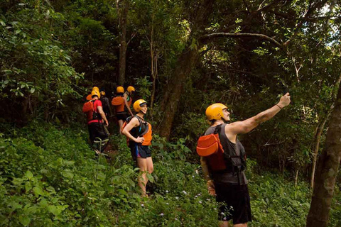 Puerto Iguazú: Aguaray Kayaking and Trekking Day Trip