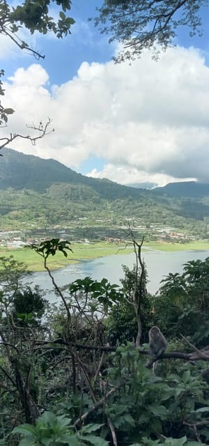 Descubre Las Cascadas Sekumpul Y Banyumala Del Norte De Bali Getyourguide