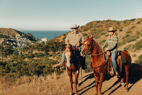 Catalina Island: Bluff View Horseback Ride