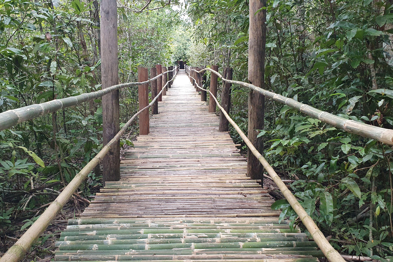 Siem Reap: Tur i liten grupp till Kulen Elephant ForestSiem Reap: Smågruppstur till Kulen Elephant Forest