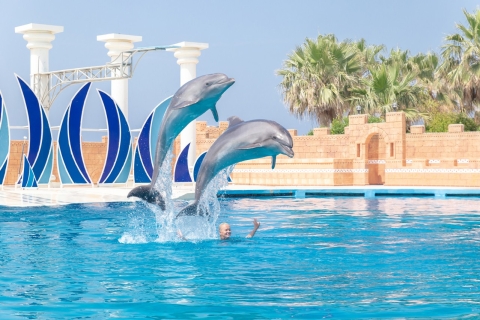 From Side/Alanya: Sealanya Dolphin Show with Hotel Transfers Pickup from Alanya