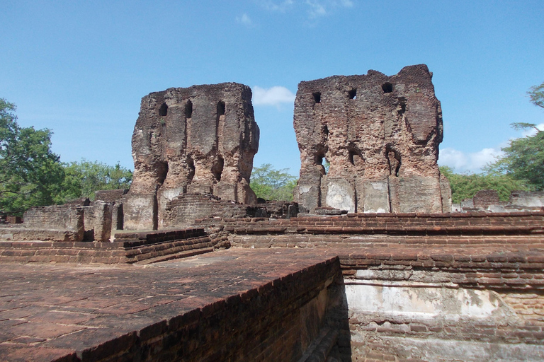 From Dambulla: Polonnaruwa Private Tuk-Tuk Tour with Guide