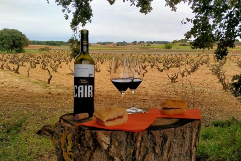 Wijnroute "Ribera del Duero" en rondleiding in SegoviaTweetalige rondleiding - Voorkeur Engels