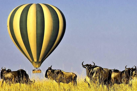 Safari di 3 giorni nel Masai Mara con esperienza di volo in mongolfiera