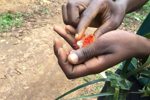 Zanzibar: En smak av Zanzibar Spice Tour