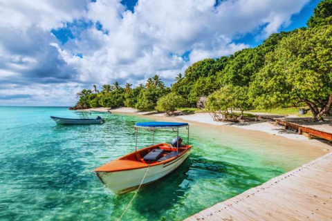 Descubre Punta Cana: tour en buggy, playa El Macao y cenote azul