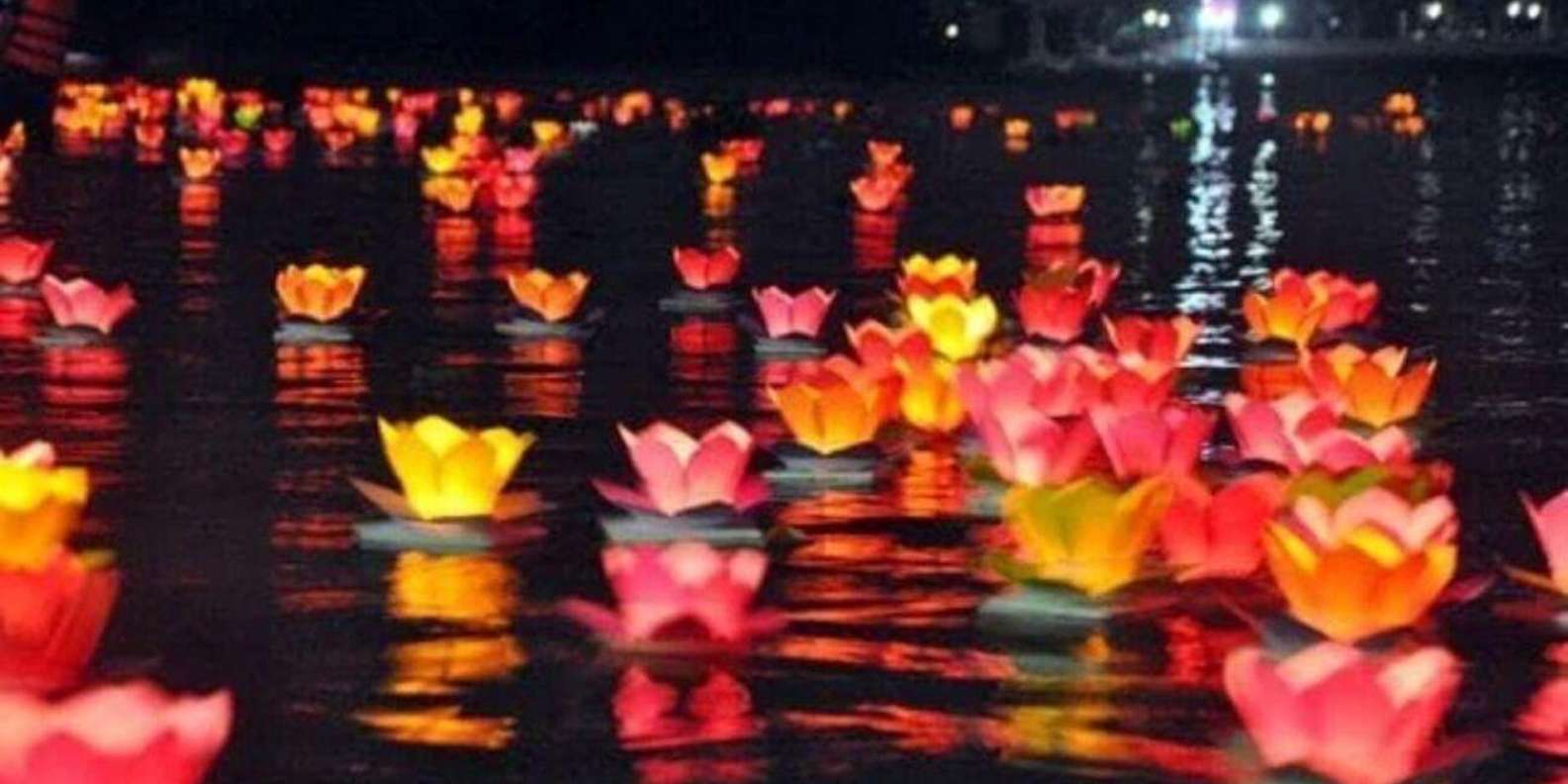 Lotus water lanterns discount