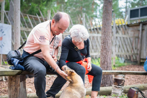 Rovaniemi: Husky & Reindeer Experience with Transfers