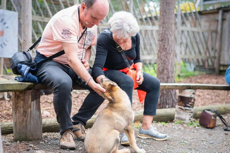 Rovaniemi: Husky & Reindeer Experience with Transfers