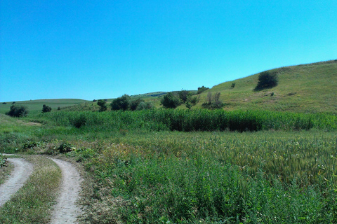 From Tashkent: Chimgan Valley Hiking Day Trip