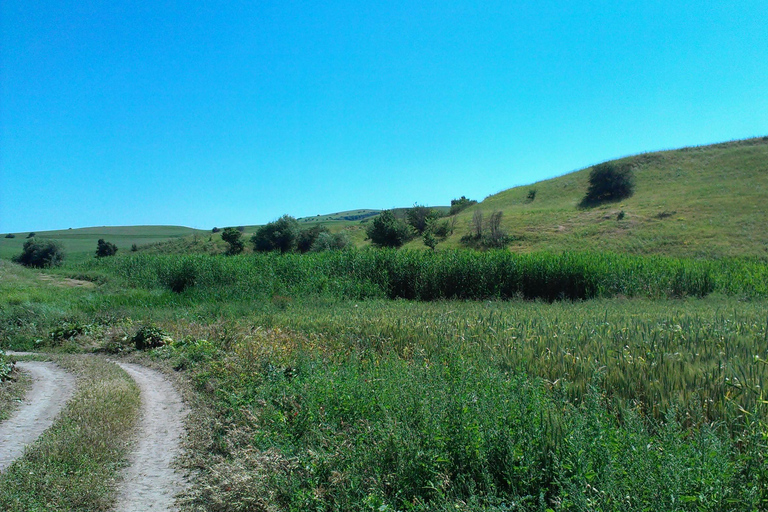 From Tashkent: Chimgan Valley Hiking Day Trip
