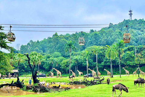Guangzhou: Chimelong Safari Park Entry with Private Transfer Shenzhen | Private Transfer + Chimelong Safari Park Ticket