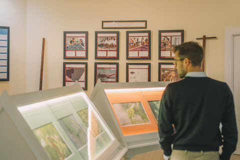 Porto: Taylor’s Port Cellar Tour & WOW The Wine Experience