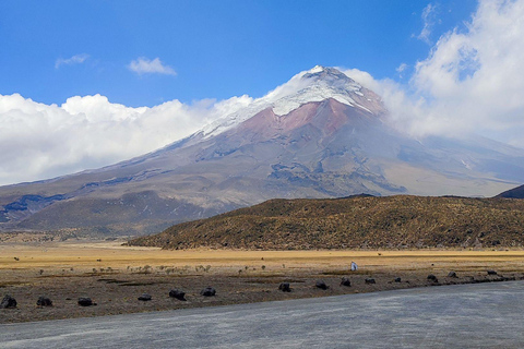 Volcan Cotopaxi : visite depuis Quito, alpaga, lagune et volcans