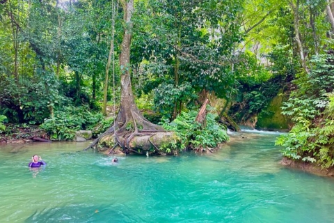 Benta River & Falls Private Tour von Montego Bay/Negril