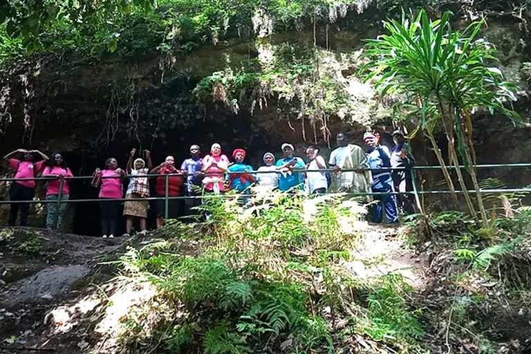 Karura Forest: A Guide Walking Tour From Nairobi