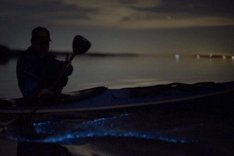 San Juan Island: Bioluminescence Kayak Tour