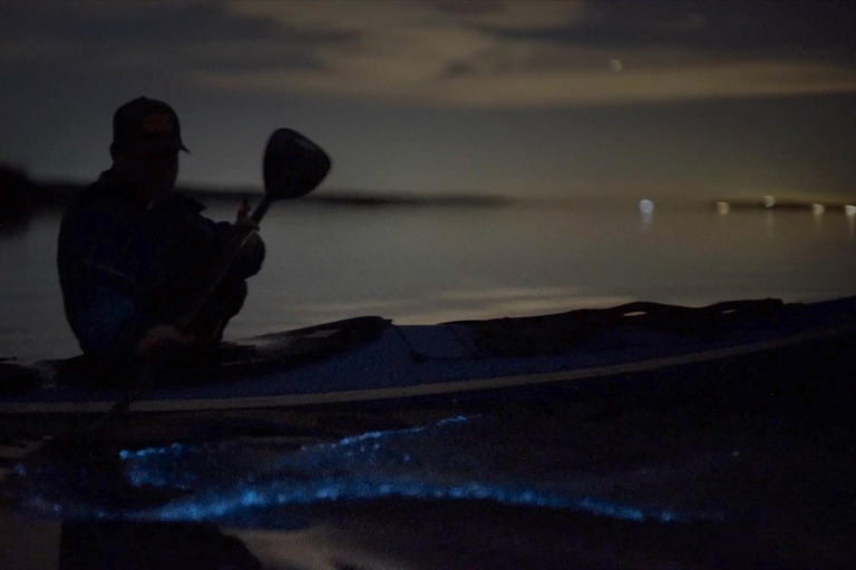 San Juan Island: Bioluminescence Kayak Tour