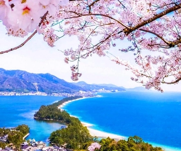 Kyoto/Osaka: Costa de Kyoto, Amanohashidate e Baía de Ine Viagem de 1 dia