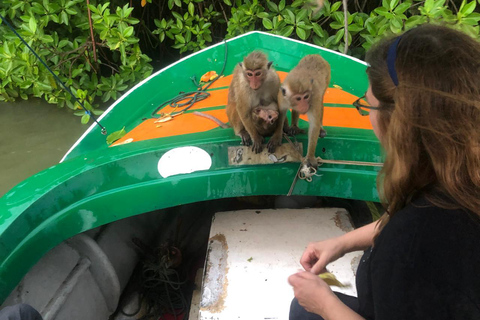 Colombo: Negombo Cultural Photo Tour with Local Lunch