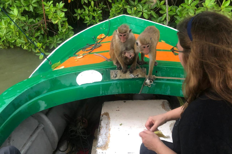 Colombo: Negombo Cultural Photo Tour with Local Lunch