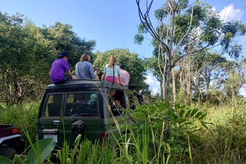 Kandy; Dagstur till Sigiriya &amp; Elefantsafari