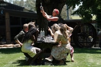 Von Melbourne, Yarra Valley Wein, Gin, Schokolade Tagesausflug - Hizvo