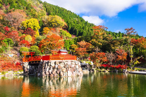 [From Osaka] Kyoto 1-Day Tour Miyama, Katsuo-ji & Arashiyama Osaka Round-trip