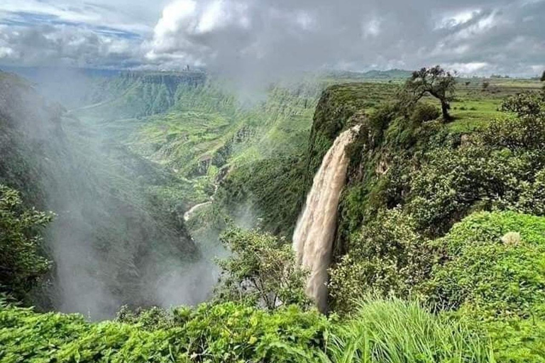 From Addis Ababa: 4-Day Alatish National Park Safari