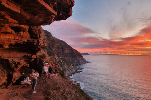Luxury Cape of Good Hope & Penguin Tour