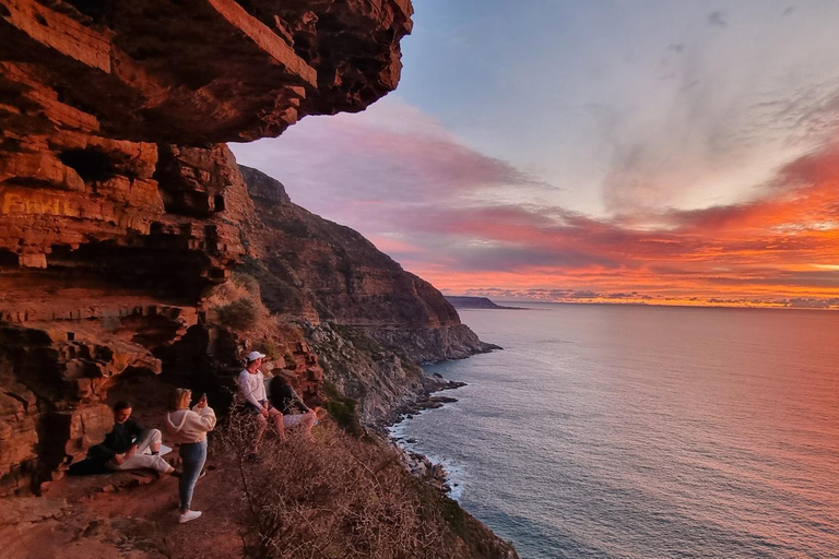 Luxury Cape of Good Hope & Penguin Tour