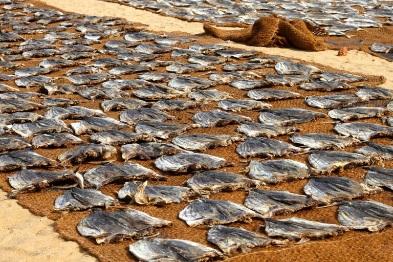 Negombo: Private City Tour with Ayurvedic Massage & Lunch