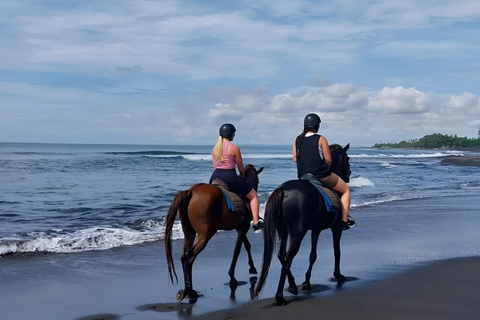 Bali: Horse Riding & Turtle Release Experience at Saba Beach Exclude: (not included horse riding tickets, lunch expense)