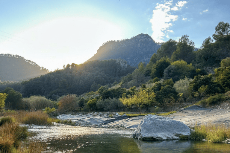 Valencia: Montanejos Thermal Springs & Waterfall Hike