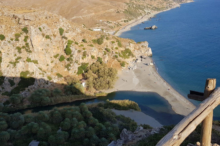 From Rethymno: Preveli Beach & Kourtaliotiko Waterfalls Tour