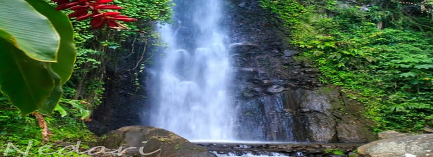 Visite des chutes Dark View avec Trubb Taxi Tours SVG