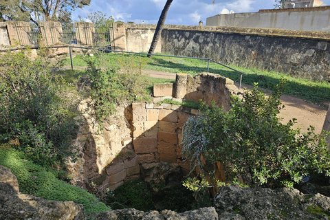 Excursión de un día a Cartago y Sidi Bou Said
