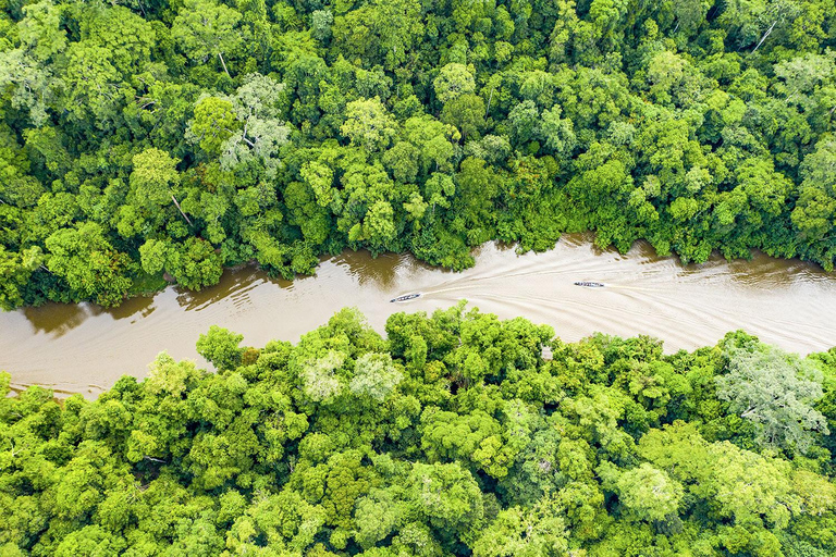 From Iquitos | 6-day Amazon rainforest tour