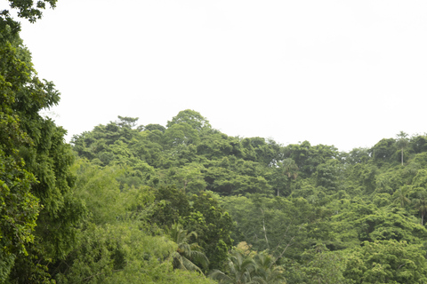 Tewimake, luxury day trip with tubing in Santa Marta Tewimake, a luxurious getaway with tubing in Santa Marta