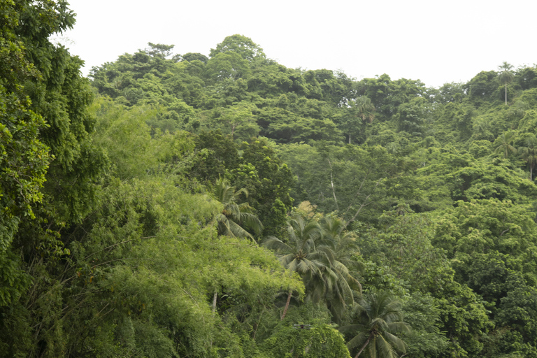 Tewimake, luxury day trip with tubing in Santa Marta Tewimake, a luxurious getaway with tubing in Santa Marta