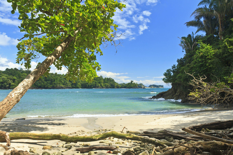 Manuel Antonio: Surfinglektioner för alla - Costa Rica